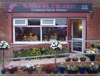 Mills and Bloom Florists Preston 284205 Image 0